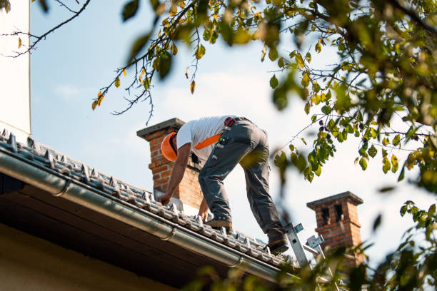 Best Storm Damage Roof Repair  in Cross Roads, TX