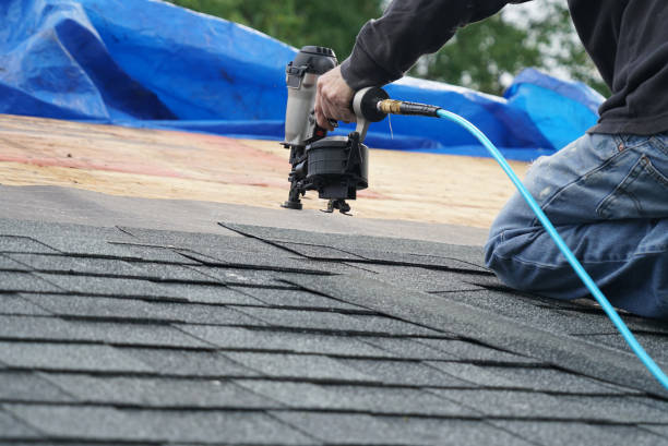 Best Roof Gutter Cleaning  in Cross Roads, TX